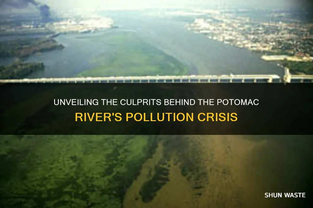 who polluted the potomac