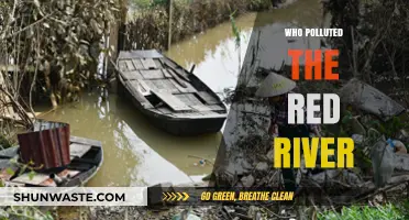 Unveiling the Culprits Behind the Red River Pollution Crisis