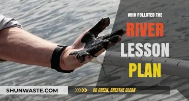 Uncovering the Culprits: Teaching Who Polluted the River Lesson Plan