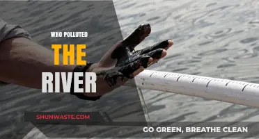 Unveiling the Culprits: Who Polluted Our River and Why?