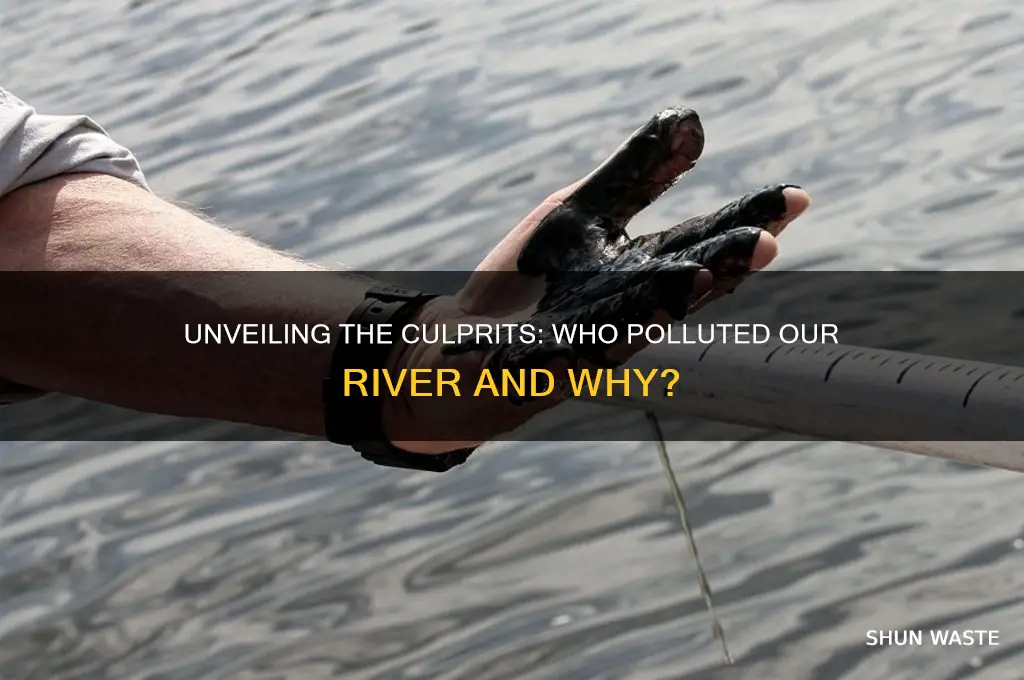 who polluted the river