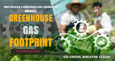 Unveiling America's Greenhouse Gas Footprint: Who Pollutes at Household Level?