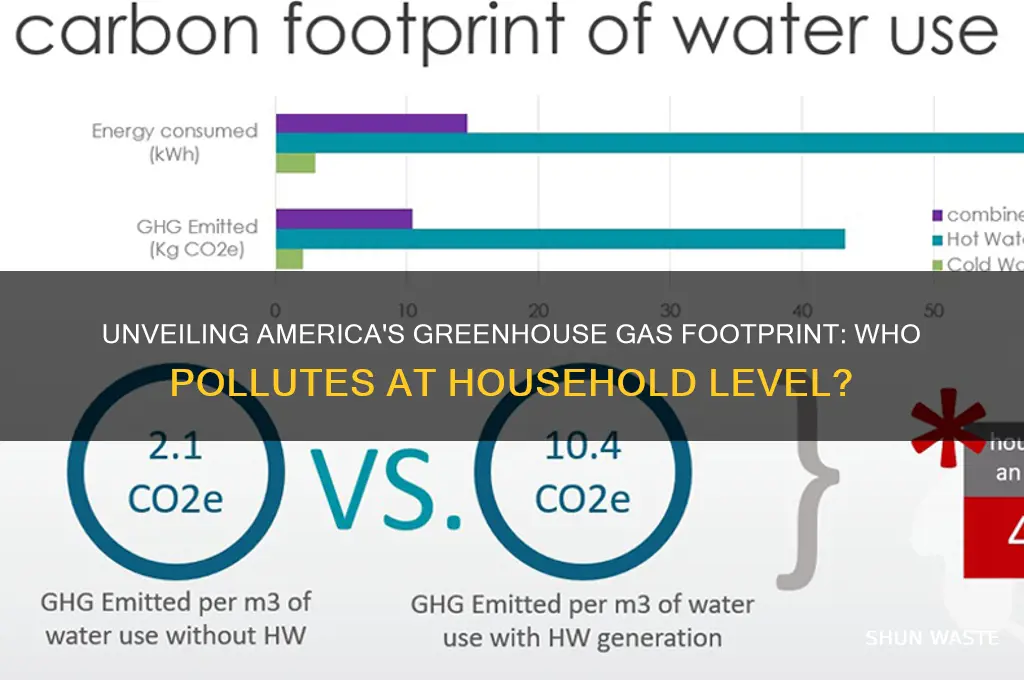 who pollutes a household-level database of america