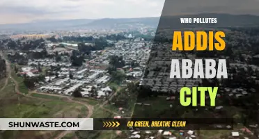 Unveiling Addis Ababa's Polluters: Sources and Solutions for a Cleaner City