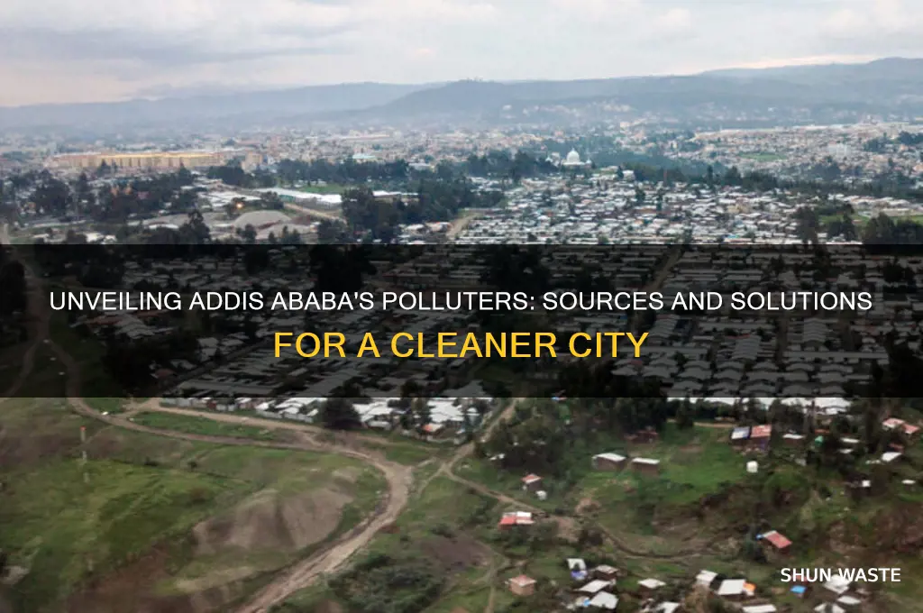 who pollutes addis ababa city