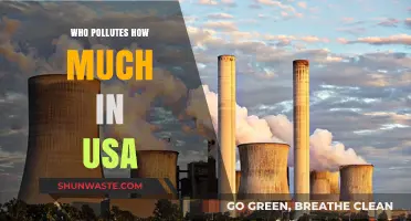 Unveiling America's Polluters: Who Contributes Most to US Emissions?