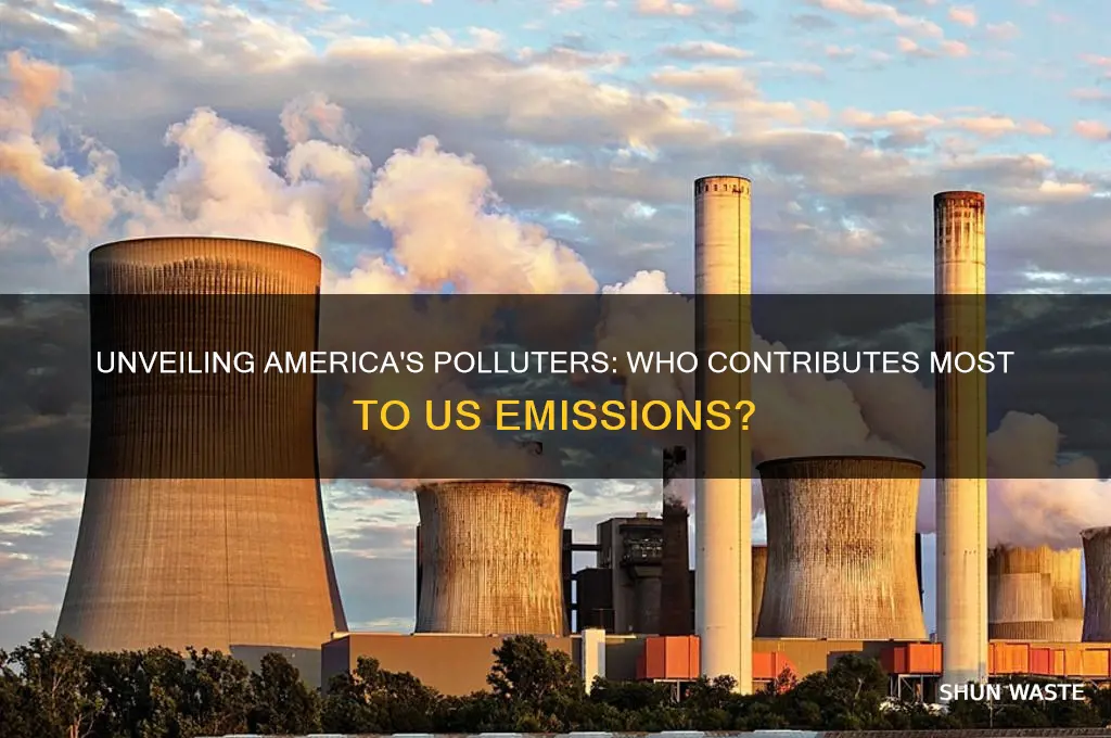 who pollutes how much in usa