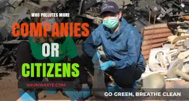 Corporate vs. Citizen Pollution: Who's the Bigger Environmental Culprit?