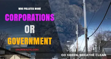 Corporate vs. Government Pollution: Who's the Bigger Environmental Culprit?