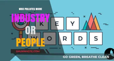 Industry vs. Individuals: Who's the Bigger Polluter and Why?