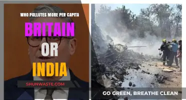 Britain vs. India: Per Capita Pollution Comparison Revealed