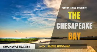 Unveiling the Top Polluters of the Chesapeake Bay: A Deep Dive