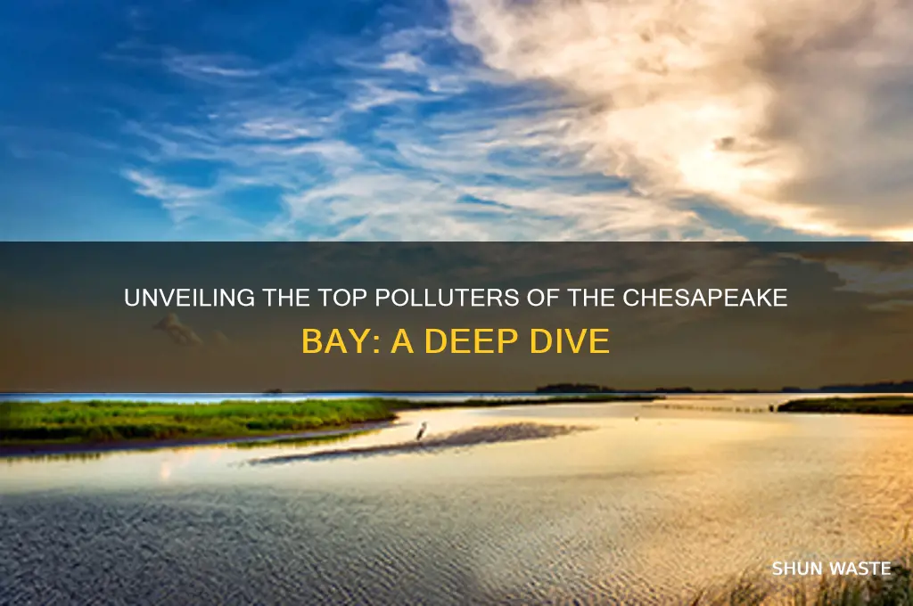 who pollutes most into the chesapeake bay