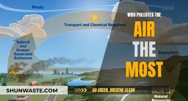 Air Polluters: Who's the Worst Offender?