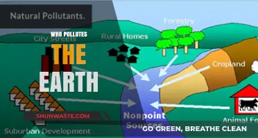 Unveiling the Culprits: Who Pollutes the Earth and How?