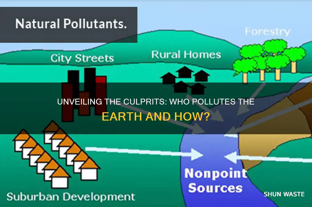 who pollutes the earth