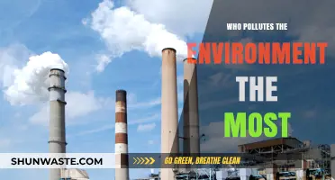 Unveiling the Top Environmental Polluters: Industries, Nations, and Practices