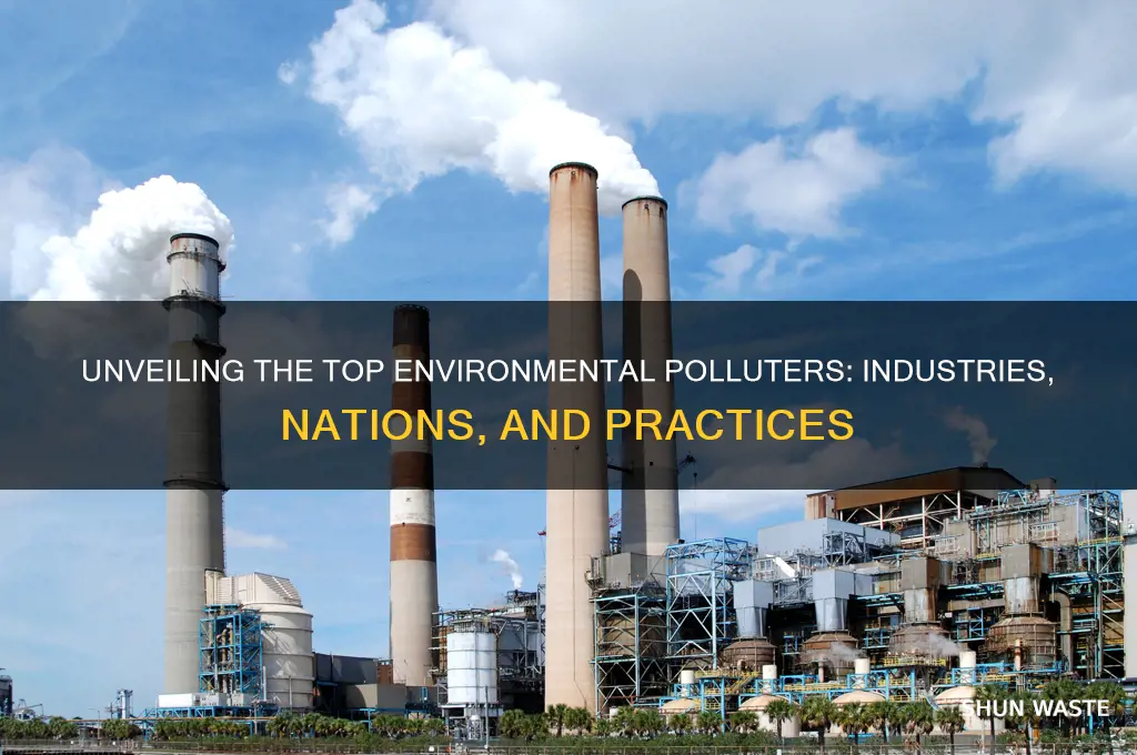 who pollutes the environment the most