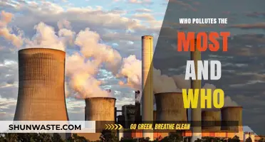 Global Pollution Leaders: Unveiling the Top Contributors and Their Impact