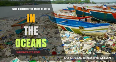 Unveiling the Top Contributors to Ocean Plastic Pollution Crisis
