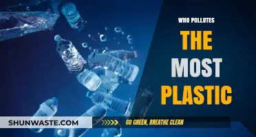 Unveiling the Top Plastic Polluters: Industries and Nations Leading the Crisis