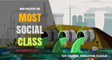 Social Class and Pollution: Who Contributes the Most to Environmental Degradation?