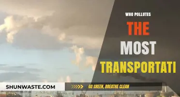 Transportation's Biggest Polluters: Uncovering the Top Contributors to Emissions