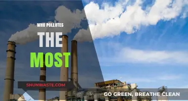 The World's Worst Polluters Revealed