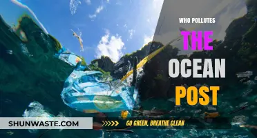 Who Pollutes Our Oceans? Uncovering the Major Contributors to Marine Pollution