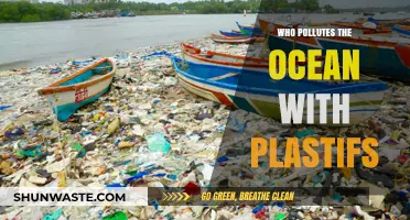 Unveiling the Culprits: Who Pollutes Our Oceans with Plastics?