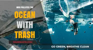 Unveiling the Culprits: Who Pollutes Our Oceans with Trash?