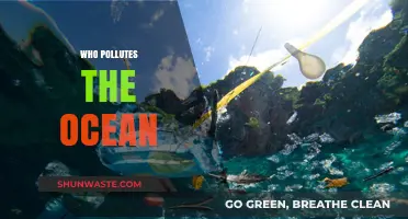 Unveiling the Culprits: Who Pollutes Our Oceans and How to Stop Them