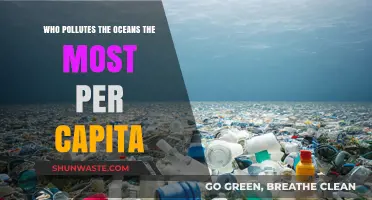 Per Capita Ocean Polluters: Unveiling the Top Contributors to Marine Waste