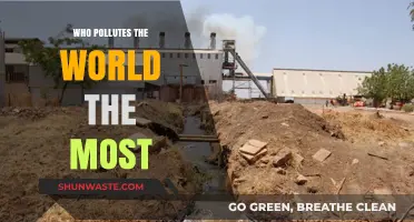 Unveiling the Top Global Polluters: Industries and Nations Leading Environmental Degradation
