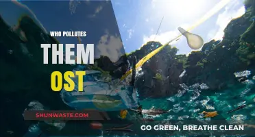 Unveiling the Top Polluters: Who Contaminates Our Oceans Most?