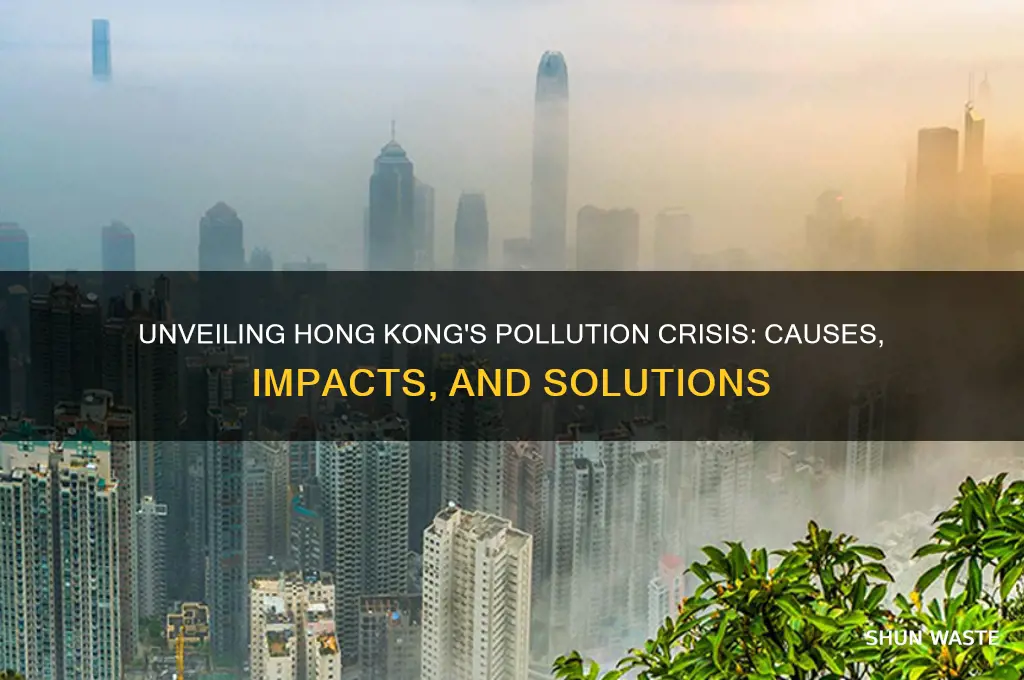 who pollution hong kong