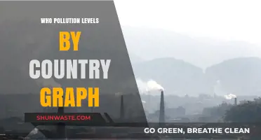 Global Pollution Levels by Country: A Comparative Graph Analysis