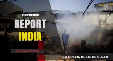 India's Air Quality Crisis: WHO Pollution Report Reveals Alarming Trends