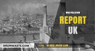 UK's Air Quality Crisis: WHO Pollution Report Reveals Alarming Trends