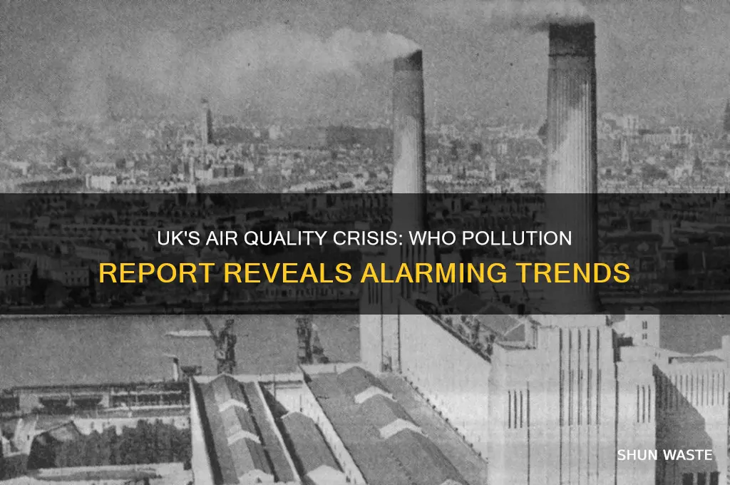 who pollution report uk