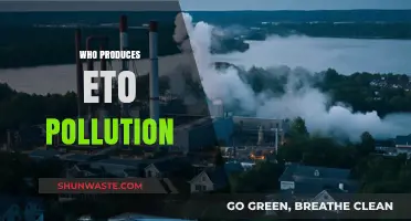 Unveiling the Culprits Behind ETO Pollution: Who's Responsible?