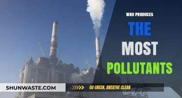 Top Polluters: Unveiling the Biggest Contributors to Global Pollution