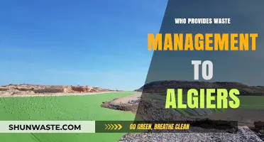Exploring Waste Management Services in Algiers: A Comprehensive Guide