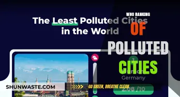 Global Air Quality Crisis: WHO's Most Polluted Cities Revealed
