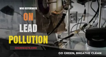 Unveiling Lead Pollution: Key References and Impactful Research Insights