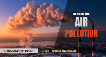 Air Pollution Regulation: Who's in Control?