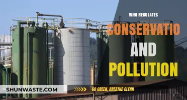 Conservation and Pollution Oversight: Who Regulates Environmental Protection?