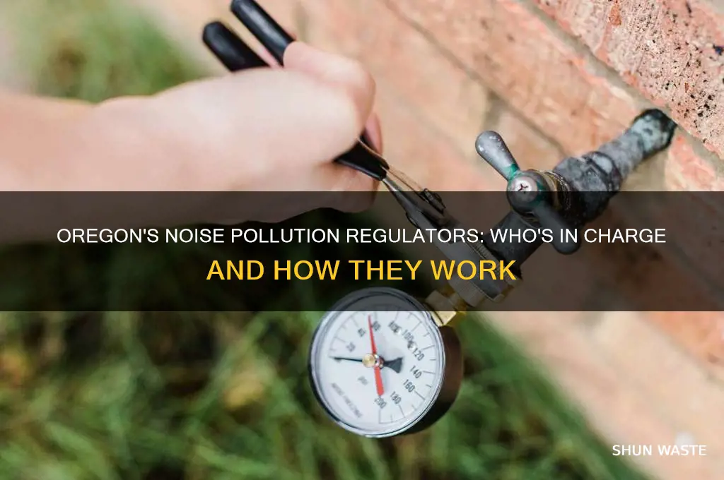who regulates noise pollution in oregon