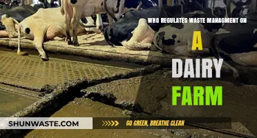 Who Oversees Waste Management on Dairy Farms?