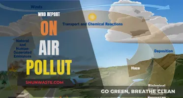 Air Pollution: WHO's Report and Our Future